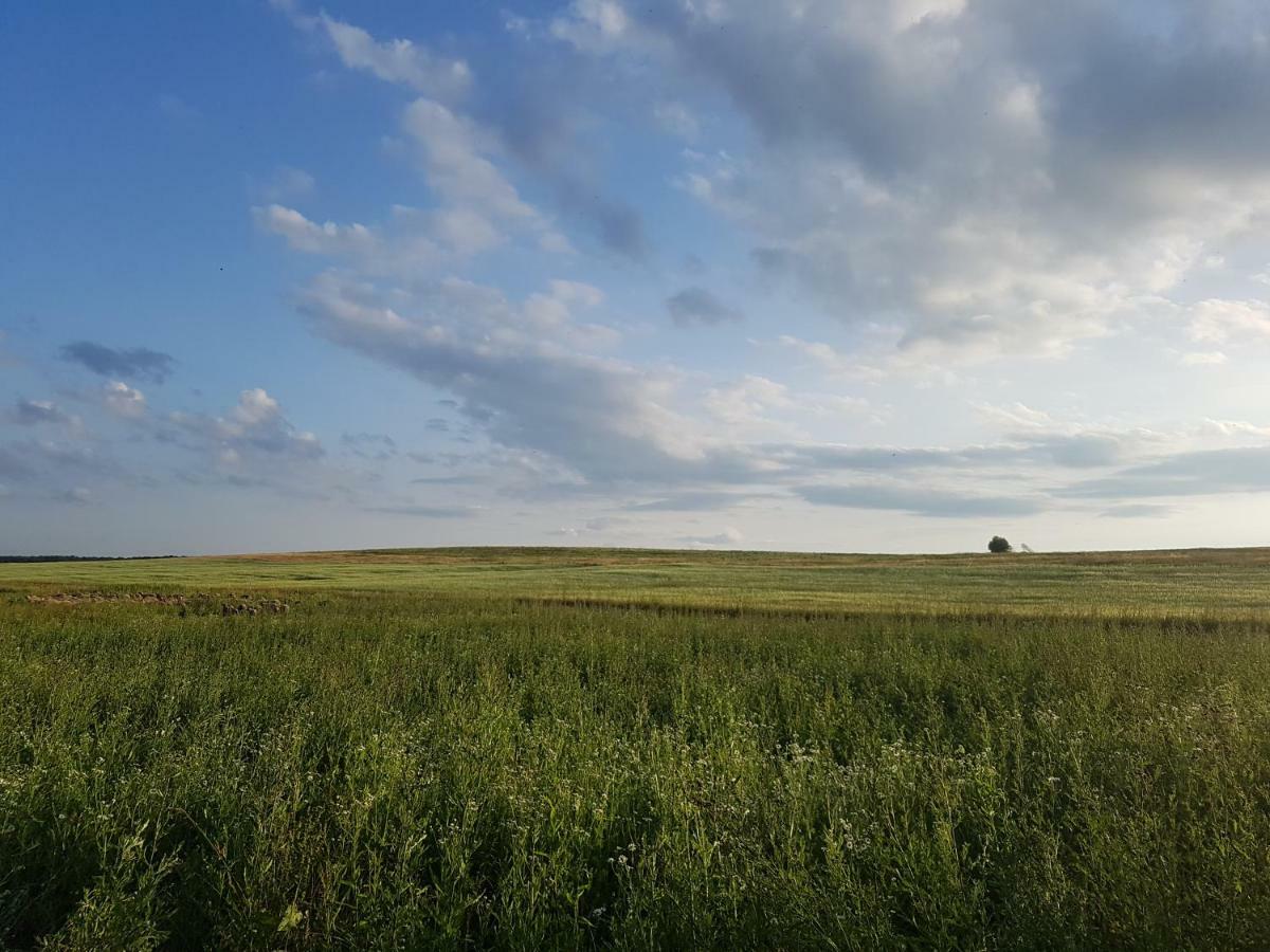 Bio Farma & Penzion Zlaty Hyl Novacany Eksteriør bilde